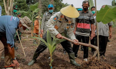 Pala dan Kelapa Telah Ditanam, Penopang Ekonomi Rakyat di Masa Depan