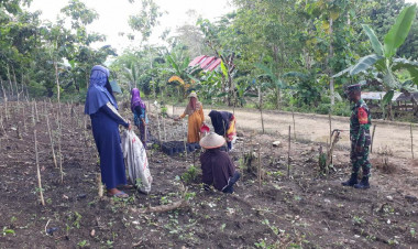 Tingkatkan Ketahanan Pangan, Babinsa Koramil 1413-13/Lasalimu Ajak Warga  Manfaatkan Lahan Kosong