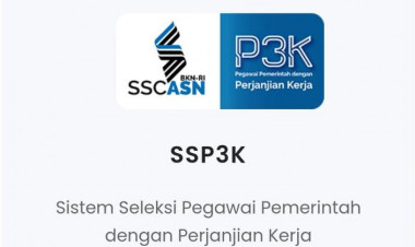Usulan P3K 2021 Hanya Dua Formasi