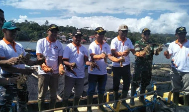 Bantuan Pemkab Buton Sukses Sejahterakan Nelayan