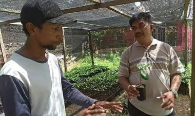 Distan Siap Salurkan 500 Kartu Tani