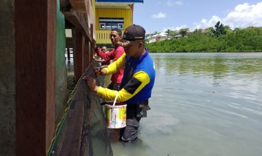 Dibantu Bhabinkamtibmas dan Babinsa, SDN 115 Buton Bangun Karamba Ikan sebagai Wahana Pembelajaran Mewujudkan Ketahanan Pangan