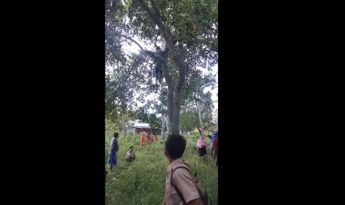 Diduga Tak Dibelikan HP, Pelajar di Busel Gantung Diri