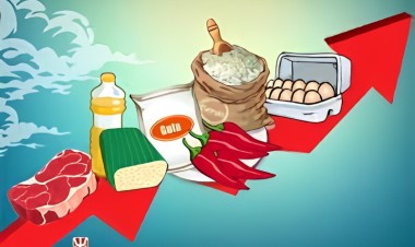 IPH 1,62 Persen, Harga Cabe Rawit di Buton Tembus Rp 150.000 per Kg