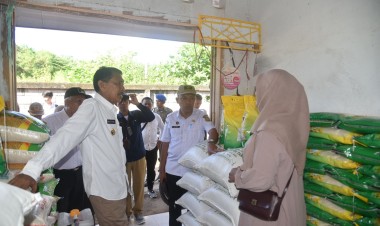 Jaga Stabilitas, Pj Bupati Buton Pantau Harga Beras di Pasar Sabho