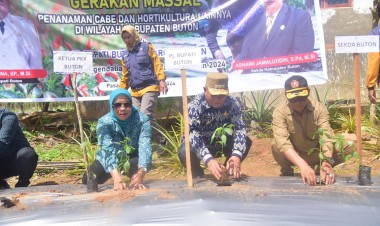 Pj Bupati Buton Pimpin Gerakan Tanam Cabai, Tekan Inflasi dan Dongkrak Ekonomi Petani