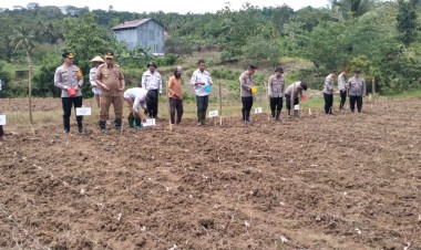 Polres Buton Ambil Bagian dalam Penanaman Serentak 1 Juta Hektar Jagung