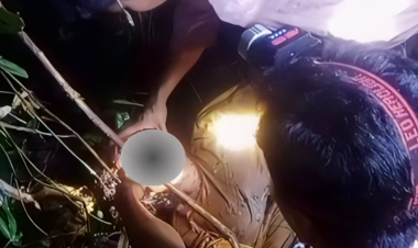 Pergi Berkebun, Pulang Tak Bernyawa: Wanita di Buton Tewas Dimangsa Ular Piton