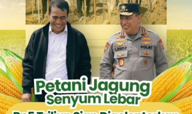 Pemerintah Gelontorkan Rp5 Triliun untuk Serap  Jagung Petani