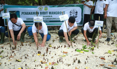 BPK Sultra dan Pemkab Buton Tanam Mangrove di Pantai Kasosona, Gaungkan Pesan Integritas dan Cinta Lingkungan